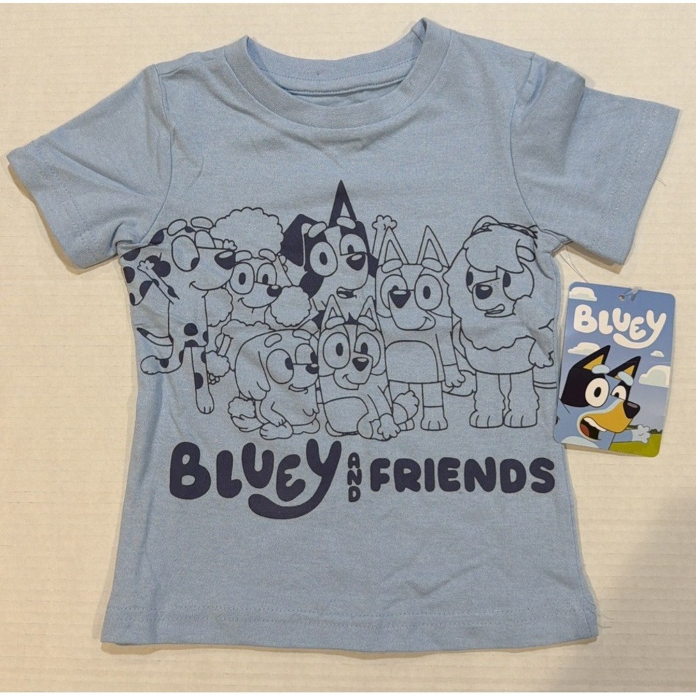 Bluey & Friends Graphic Print Crew Neck Short Sleeve Blue T-Shirt 2T